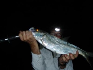 ChrisBTarpon