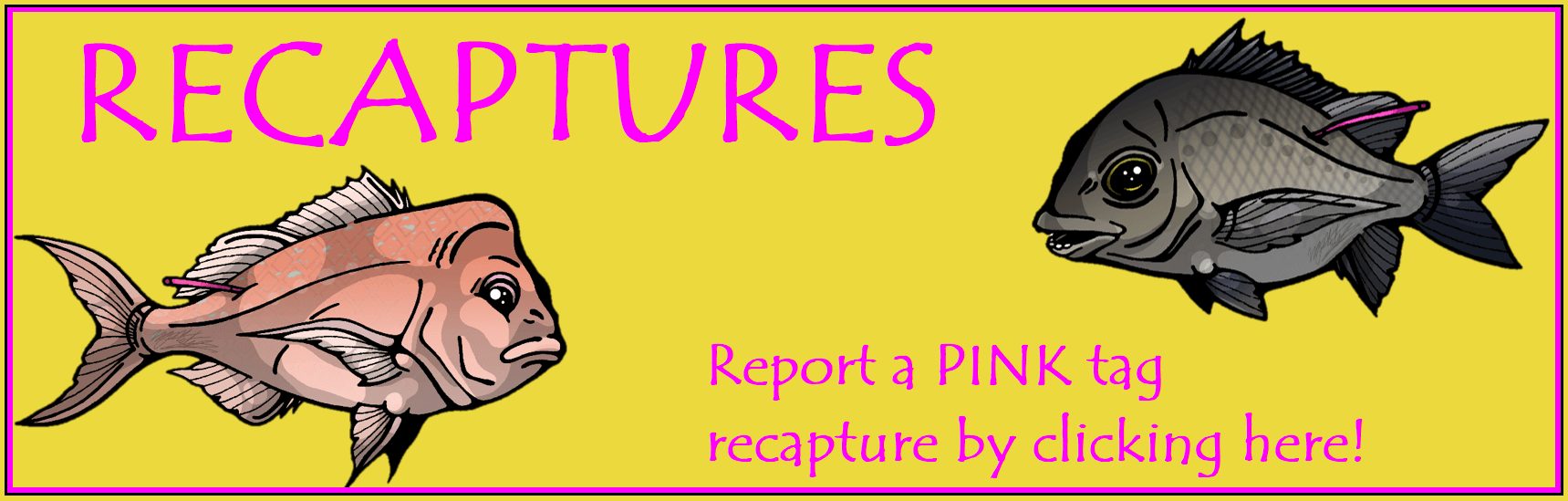 Pink Tag Recapture Banner